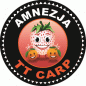 Preview: TTCarp Boilie Standart Amnesia - 1 kg / 18 mm
