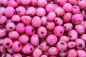 Preview: My-Baits RainbowSix Fluoro Tiger Nuts Pink Octopussy 150ml