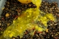 Preview: My-Baits Liquid Food Essential Yellow Trigger 500ml