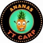 Preview: TTCarp Carp Boosted Pellet Pineapple & Scopex - 100ml / 8-12 mm