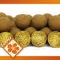 Preview: Imperial Fishing IB Carptrack Osmotic Oriental Spice Boilie - 2 kg / 16 mm