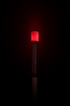 Carp Marker Beleuchtungsdiode für Stangenboje Red Carp Marker Beleuchtungsdiode für Stangenboje Red