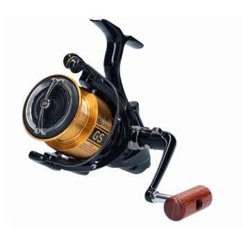 Daiwa 20 GS BR LT 5000-C