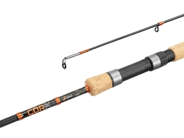 Delphin CORX Spin Hard 270cm 60g 2Teile