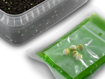 Preview: Delphin Method Feeder Pellet box Reaxe READY&GO - Knoblauch-Butyric