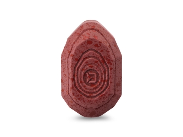 Preview: Delphin Method QUIX Form