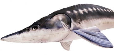 Preview: Gaby Kuscheltier Europäische Stör Gigant