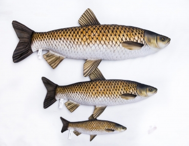 Preview: Gaby Kuscheltier Graskarpfen