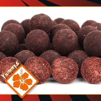 Imperial Fishing IB Carptrack Elite Strawberry Boilie 1 kg / 20mm