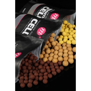 Mainline Baits Shelf Life Boilies Essential Cell 20mm - 1kg  Mainline Baits Shelf Life Boilies Essential Cell 20mm - 1kg