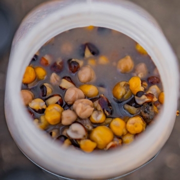 Preview: Nash Bait Fertig Mix Partikel - Large Seed Mix 2,5l