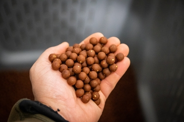 Preview: P.R. Baits Boilies The Baitmaster 2kg / 20mm
