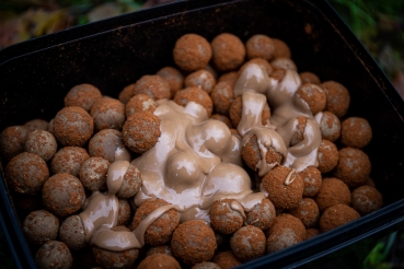 Preview: P.R. Baits Liquid - Liver - 500ml