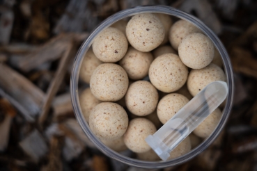 Preview: P.R. Baits Ocean Fish – Special Edition Pop Ups 14-16mm