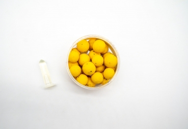 Preview: P.R. Baits Saure Biene – Special Edition Pop Ups 14-16mm