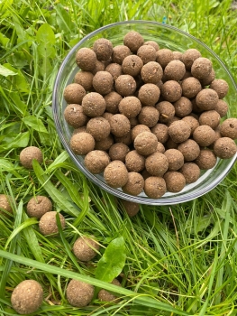 Preview: TTCarp Boilie Classic Banana - 5 kg / 18 mm