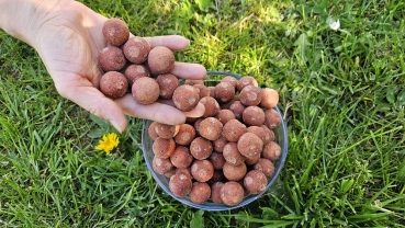 Preview: TTCarp Boilie Special Edition - Crazy Chicken 5kg 24mm