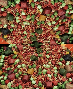 Preview: TTCarp Carp Pellet Mix - 1 kg / 2-18 mm