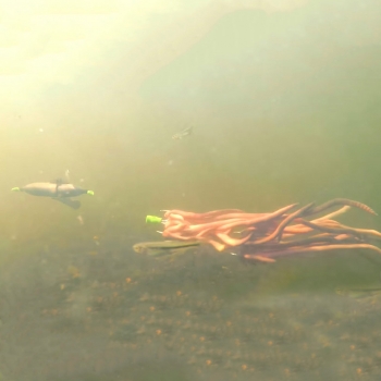 Preview: Zeck Fishing Propeller U-Float Solid Black - 10g