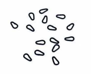 Mika Loops for System Links - 15 Stck