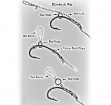 Preview: Mika Rig Rings - medium - 10 Stück