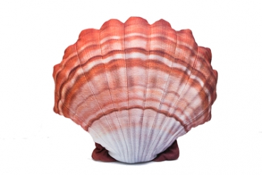 Gaby Maskottchen Kissen Muschel Orange