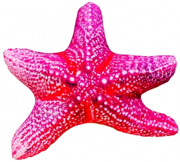 Gaby Kuscheltier Seesterne