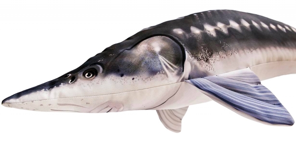 Gaby Kuscheltier Europäische Stör Gigant