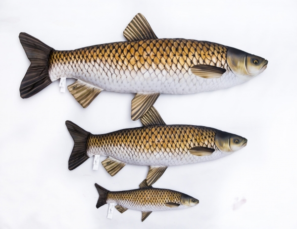 Gaby Kuscheltier Graskarpfen Gigant