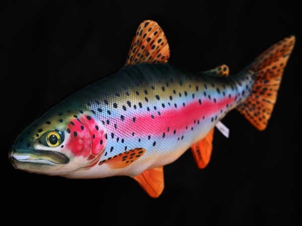 Gaby Kuscheltier Regenbogenforelle