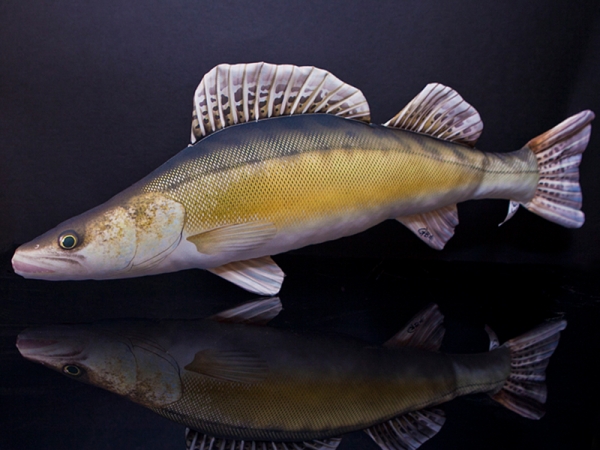 Gaby Kuscheltier Zander