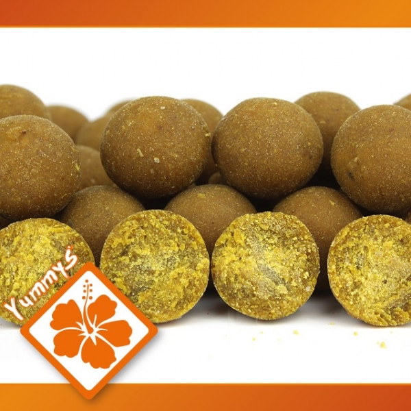 Imperial Fishing IB Carptrack Osmotic Oriental Spice Boilie - 1 kg / 16 mm