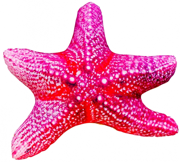 Gaby Kuscheltier Seesterne